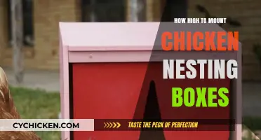 Optimal Height for Chicken Nesting Boxes: A Practical Guide