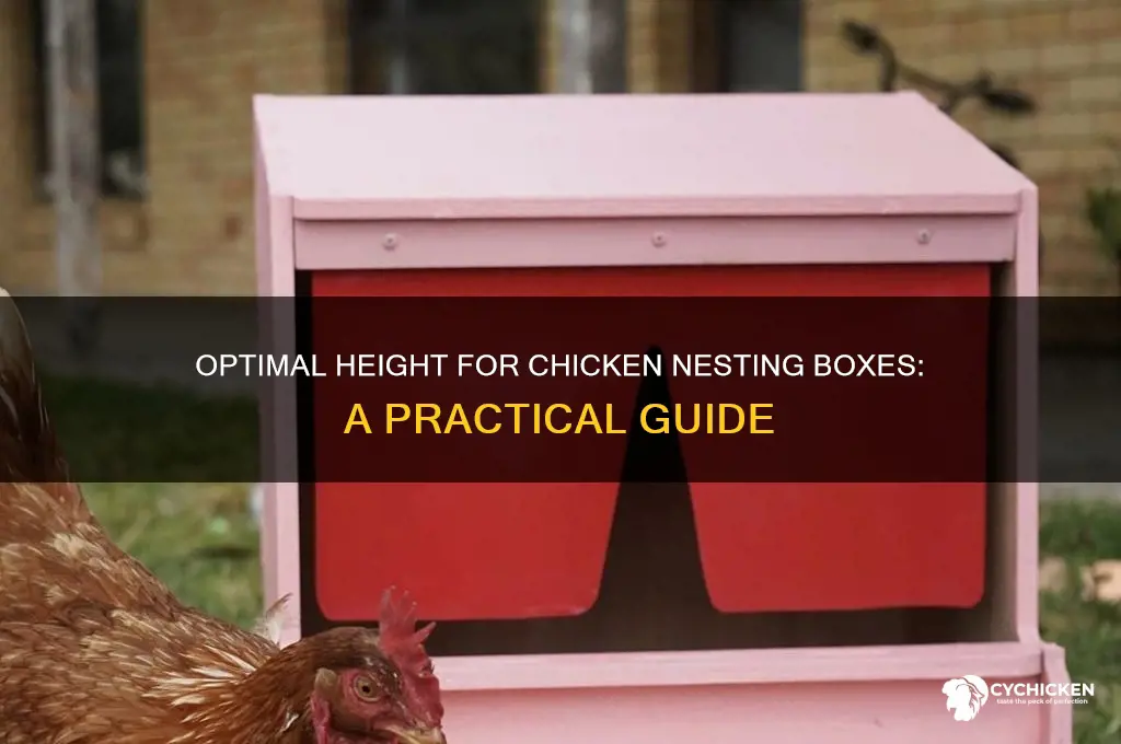 how high to mount chicken nesting boxes