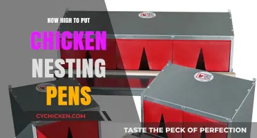 Optimal Height for Chicken Nesting Pens: A Practical Guide