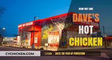 Sizzling Heat Levels: Exploring Dave's Hot Chicken's Fiery Spice Challenge