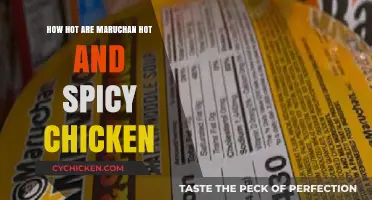 Sizzling Heat: Maruchan Hot & Spicy Chicken Flavor Review