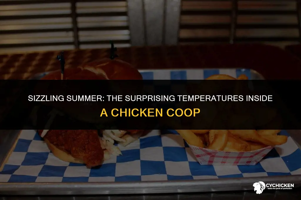 how hot can a chicken coop get