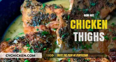 Sizzling Secrets: Mastering Perfectly Crispy, Juicy Hot Chicken Thighs