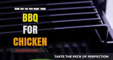 Mastering the Perfect BBQ Chicken Temperature