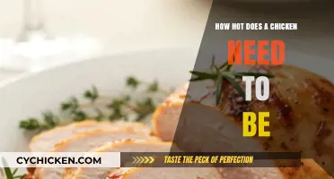 Perfect Chicken Temperature: How Hot Should It Get for Safe Cooking?
