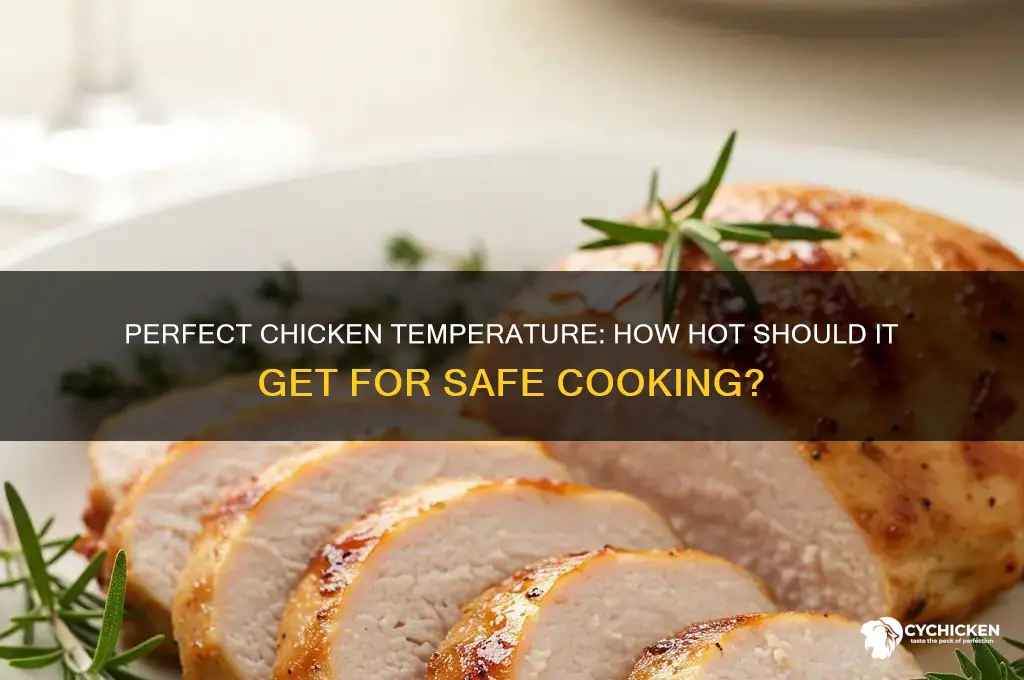 how hot does a chicken need to be