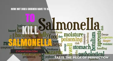 Cooking Chicken: Temperature to Kill Salmonella