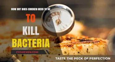 Cooking Chicken: Temperature to Kill Bacteria