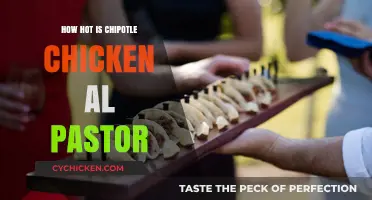 Sizzling Chipotle Chicken Al Pastor: Heat Level and Flavor Explained