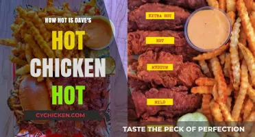 Dave's Hot Chicken Heat Level: How Spicy is it Really?