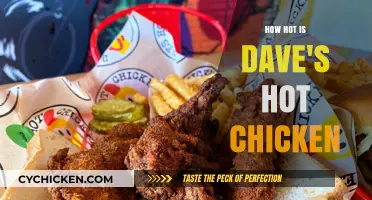 Dave's Hot Chicken: A Fiery Adventure in Heat and Flavor