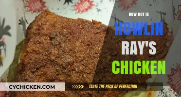 Sizzling Heat: Howlin' Ray's Nashville Hot Chicken Burns Taste Buds