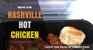 Nashville Hot Chicken at KFC: Is It Fiery Enough for You?