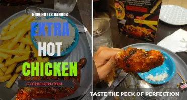 Nando's Extra Hot Chicken: A Fiery Adventure in Heat and Flavor