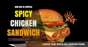 Popeyes Spicy Chicken Sandwich: Heat Level and Flavor Review