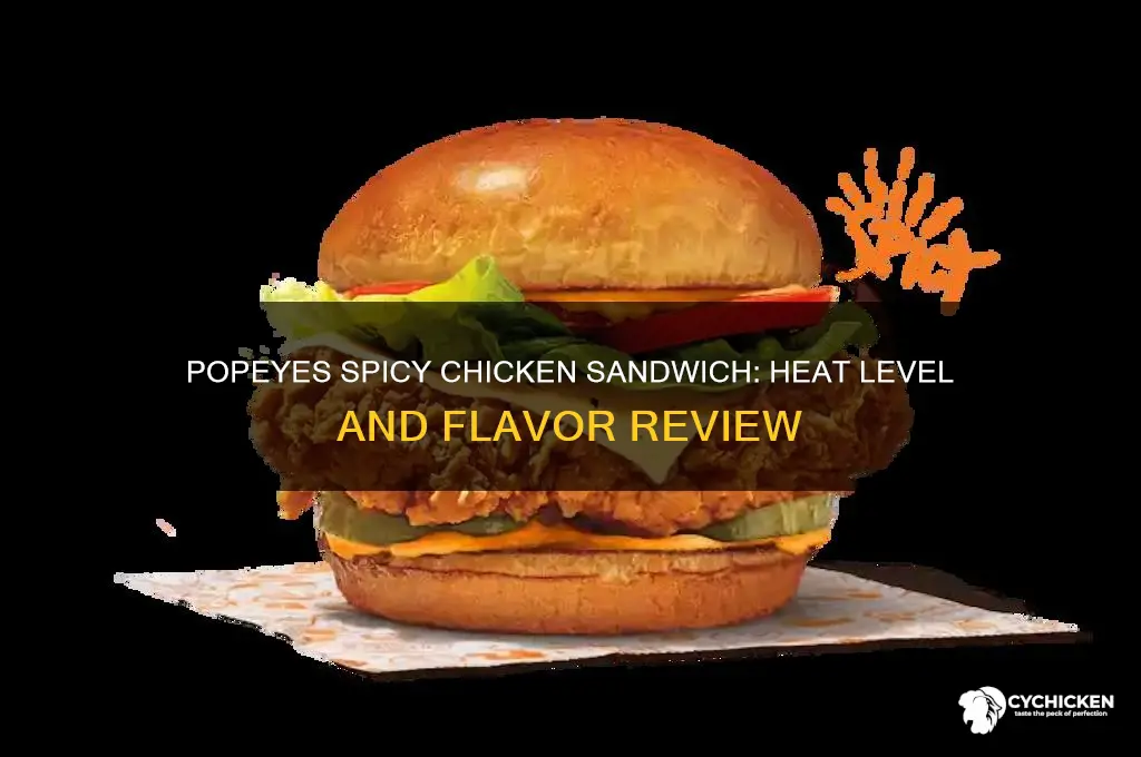 how hot is popeyes spicy chicken sandwich