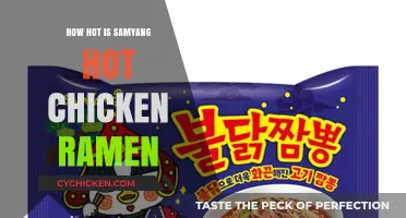 Samyang Hot Chicken Ramen: A Fiery Adventure in Every Bite