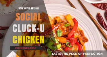Spicy, Saucy, Succulent: 911 Social Cluck-U Chicken's Heat Reviewed