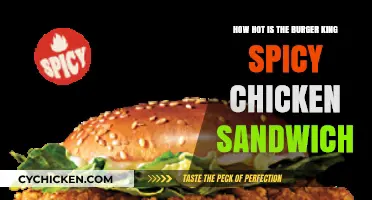 Burger King Spicy Chicken Sandwich: Heat Level Reviewed