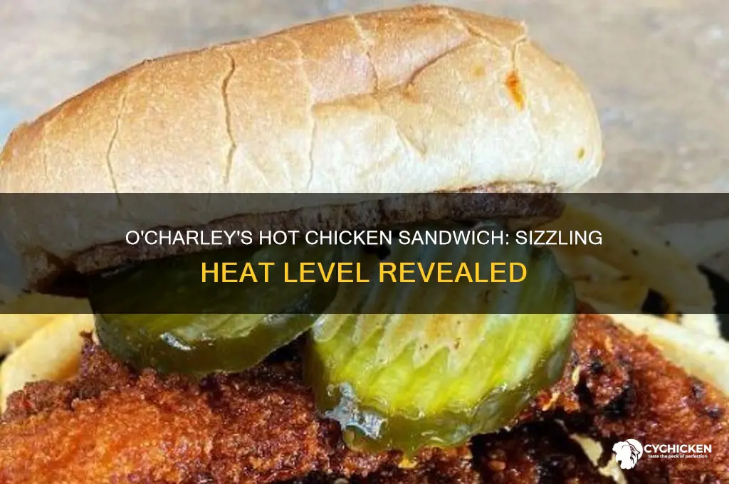 how hot is the hot chicken sandwich at ocharleys