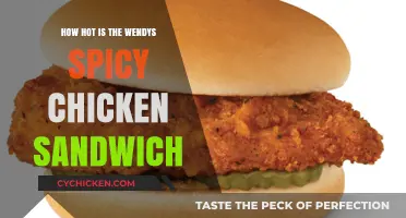 Wendy's Spicy Chicken Sandwich: Heat Level Review and Taste Test