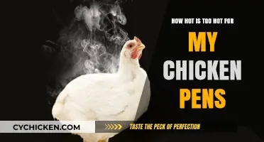 Chicken Pens: How Hot Is Too Hot?
