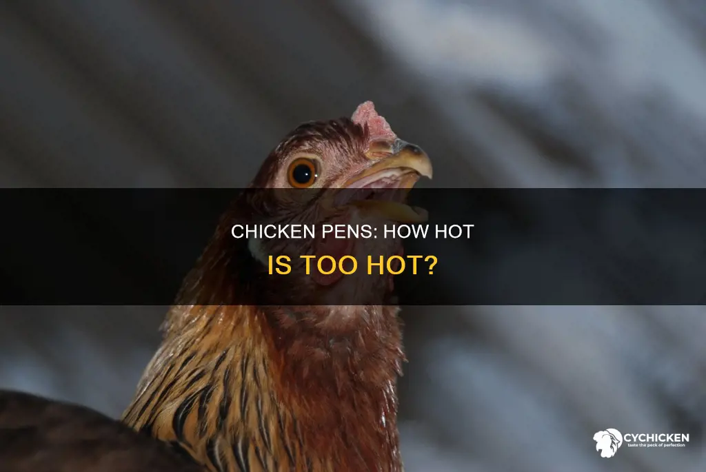 how hot is too hot for my chicken pens