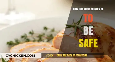 Safe Chicken Temperature: How Hot is Hot Enough to Avoid Risks?