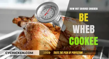 Perfect Chicken Temperature: How Hot Should It Be When Cooked?