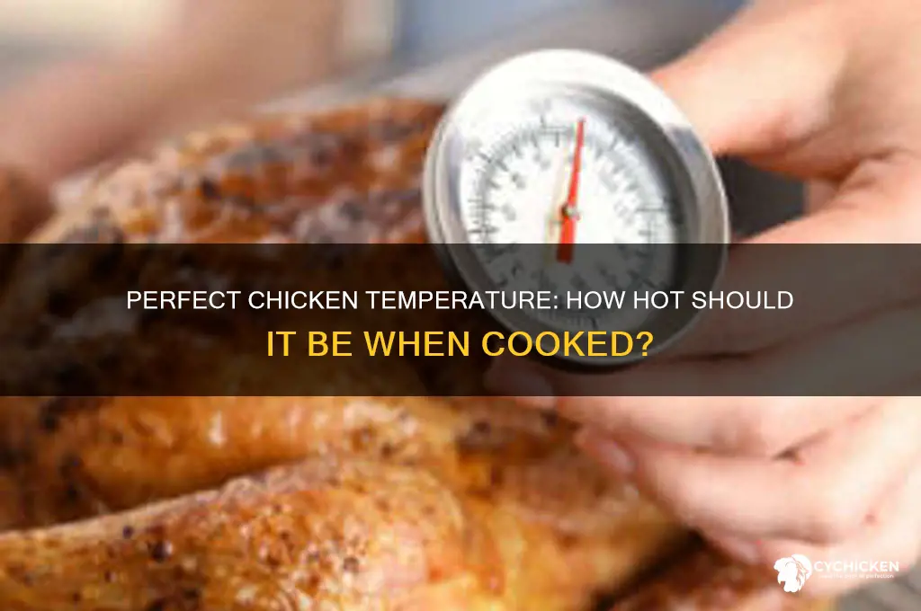 how hot shoukd chicken be wheb cookee