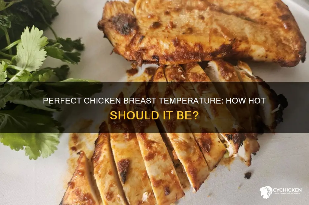 how hot should a chicken brest be