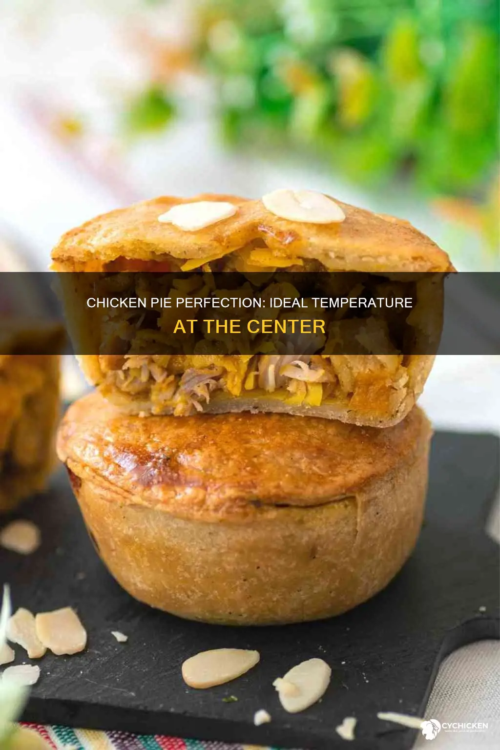 how hot should a chicken pie be in the middle