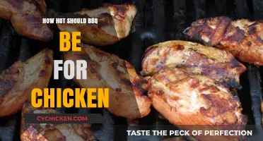 Perfect BBQ Chicken: Ideal Temperature Tips for Juicy, Safe Grilling