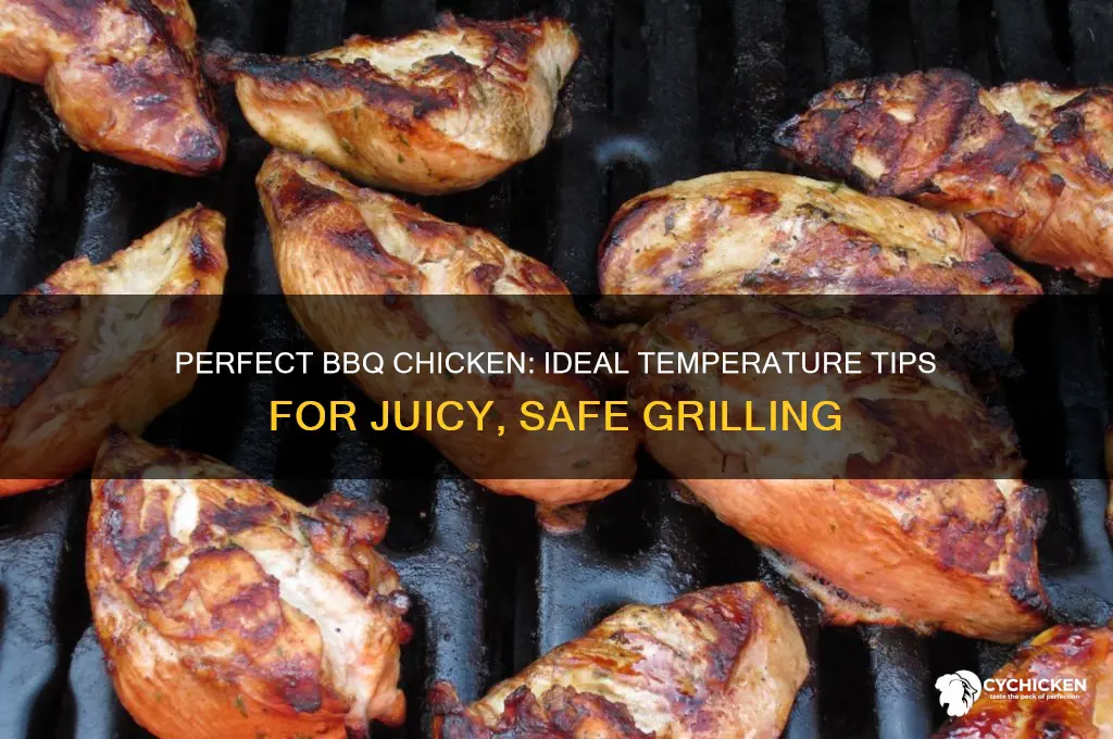 how hot should bbq be for chicken