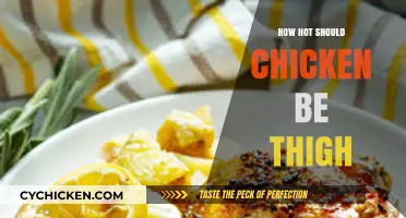 Perfect Chicken Thigh Temperature: How Hot Should They Be Cooked?