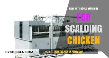 Perfect Scalding Temperature: How Hot Should Water Be for Chicken?