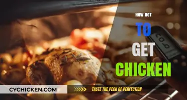 Sizzling Success: The Ultimate Guide to Perfectly Hot Chicken