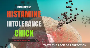 Healing Histamine Intolerance: My Chick-Friendly Diet Journey to Recovery