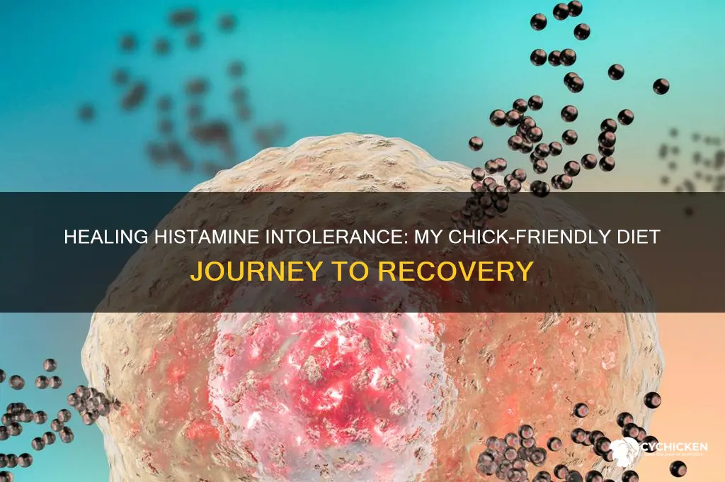 how i cured my histamine intolerance chick