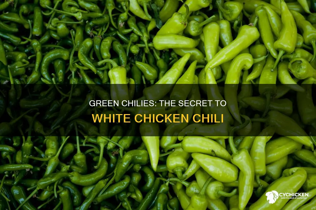 how important are green chilies to white chicken chili