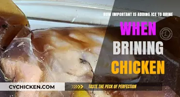 The Chicken Brine: Ice, a Crucial Ingredient?