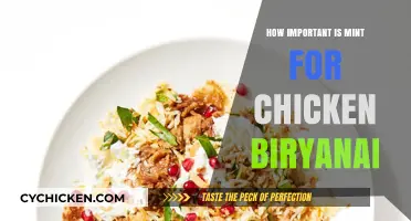 The Essential Role of Mint in Perfecting Chicken Biryani