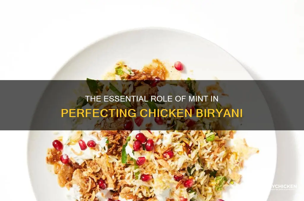 how important is mint for chicken biryanai