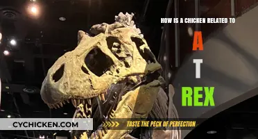 Chicken-Rex: Uncovering the Ancient Bond