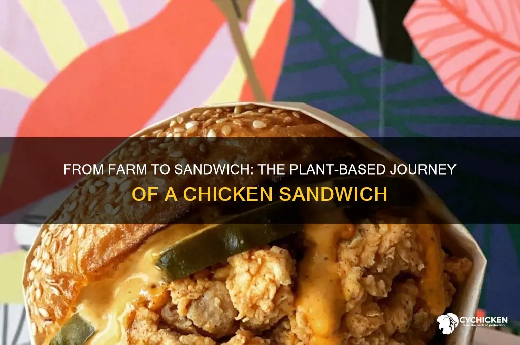 how is a chicken sandwich connected to plants
