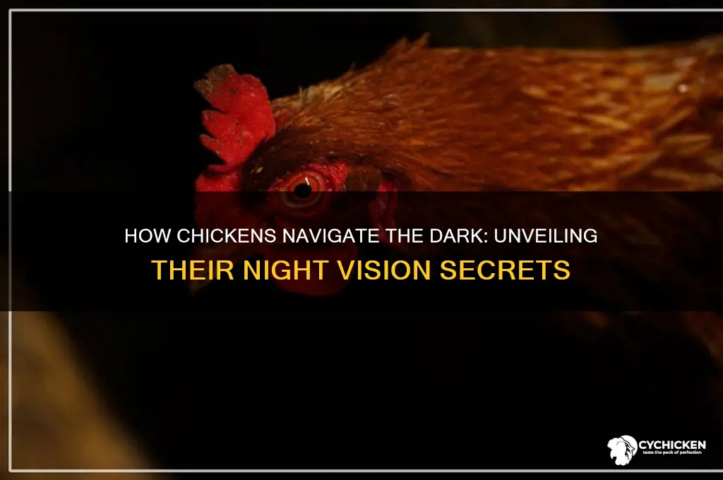 how is a chicken