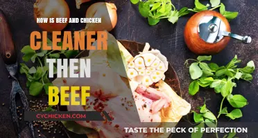 Debunking Myths: Beef vs. Chicken Cleanliness and Safety Standards