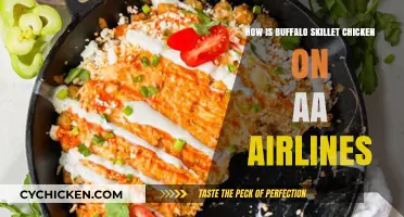 Buffalo Skillet Chicken on AA Airlines: A Tasty In-Flight Experience