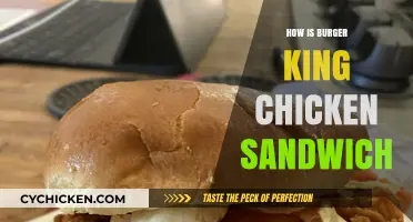 Tasty Review: Burger King's Chicken Sandwich - Worth the Hype?