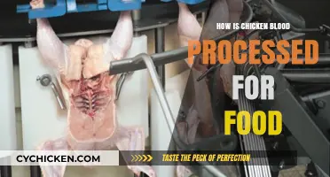 Processing Chicken Blood for Food: Methods, Uses, and Safety Explained